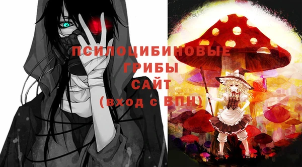 спайс Арсеньев