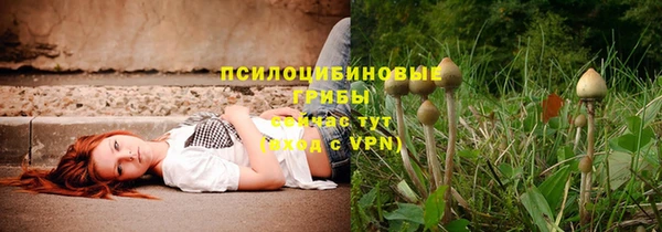экстази Баксан